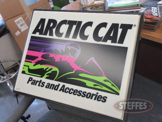  Arctic Cat 